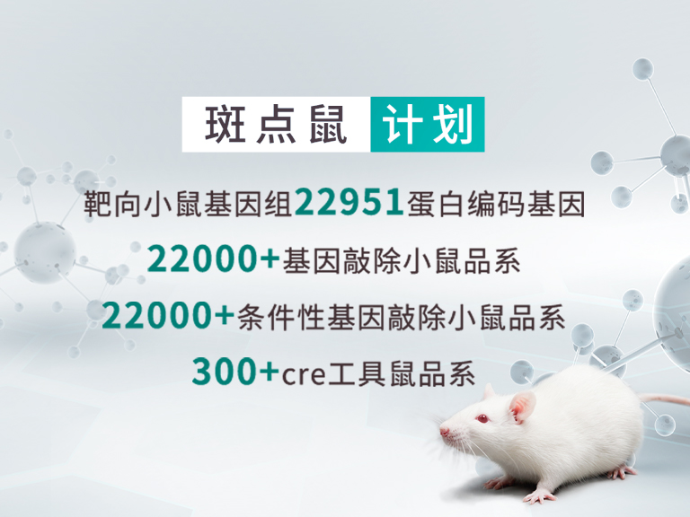 �����ó���